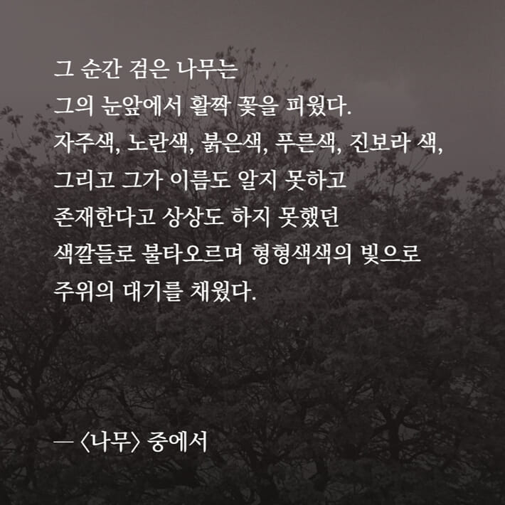 카드뉴스7