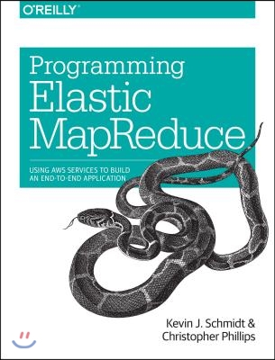 Programming Elastic Mapreduce: Using AWS Services to Build an End-To-End Application