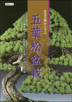 作業實例から學ぶ 五葉松盆栽