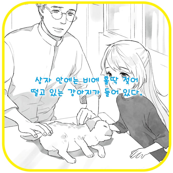 카드뉴스5