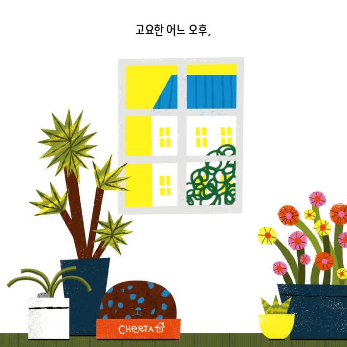 카드뉴스1
