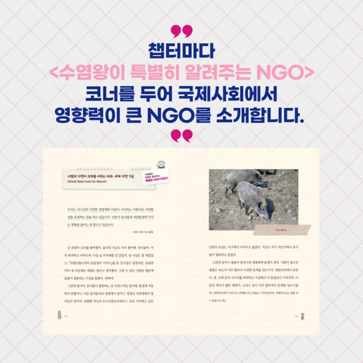 카드뉴스6