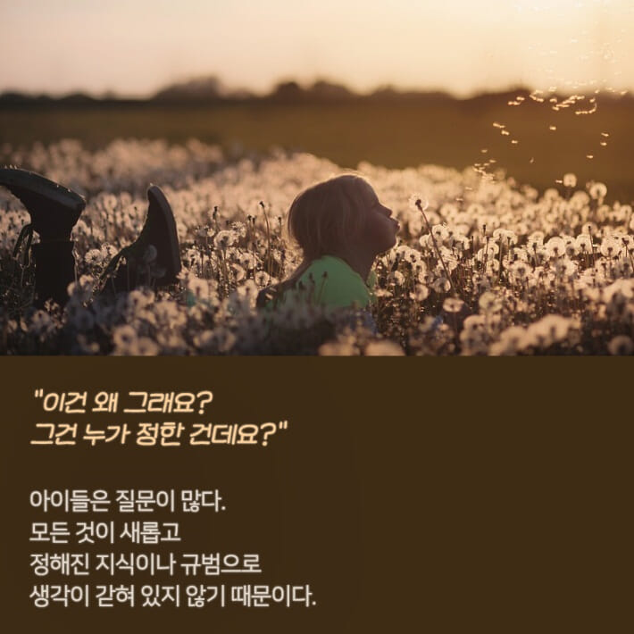 카드뉴스2