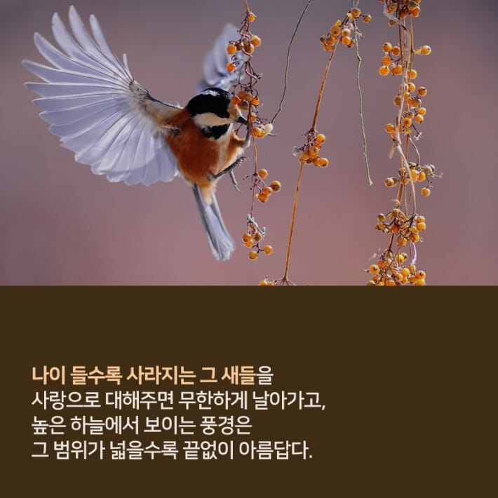 카드뉴스8