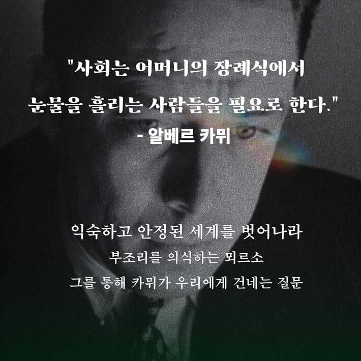 카드뉴스