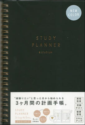 STUDY PLANNER DAILY BLACK 