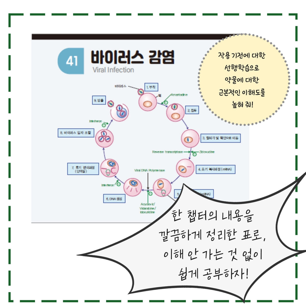 카드뉴스5