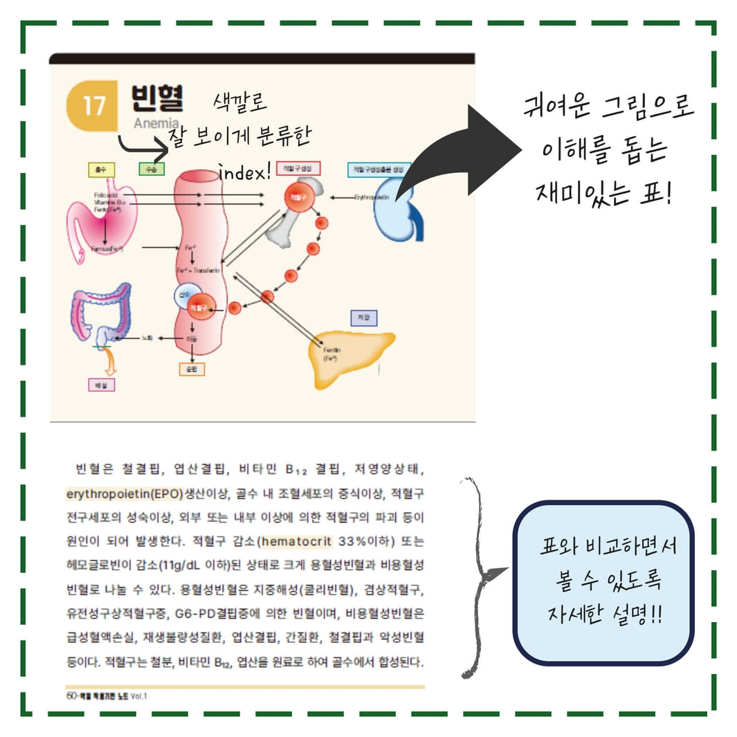 카드뉴스6