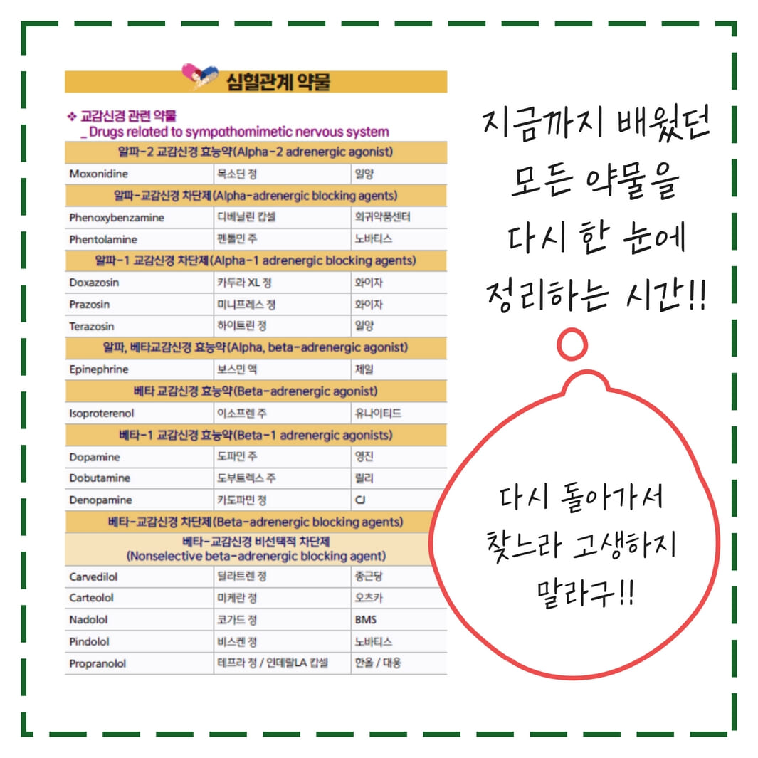 카드뉴스7