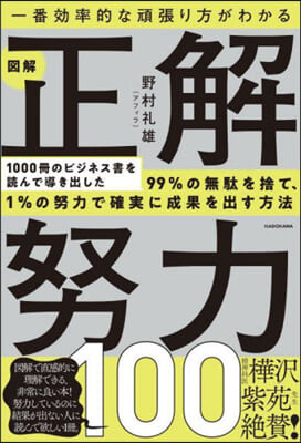 圖解 正解努力100