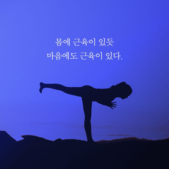 카드뉴스1