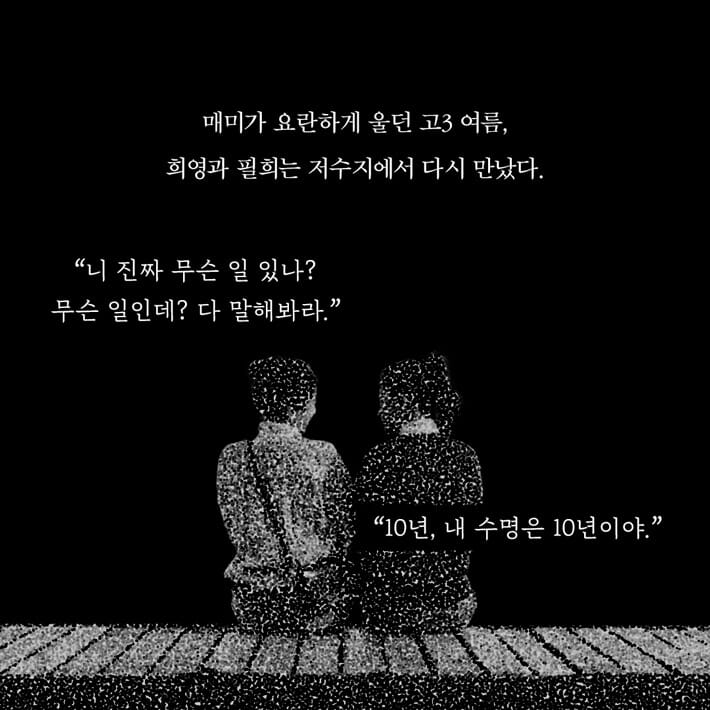 카드뉴스4