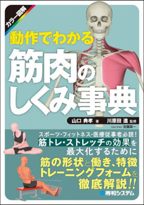 カラ-圖解 動作でわかる筋肉のしくみ事典