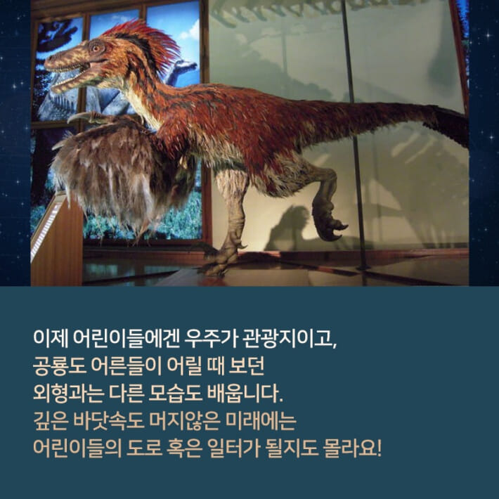 카드뉴스7