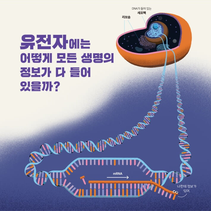 카드뉴스2