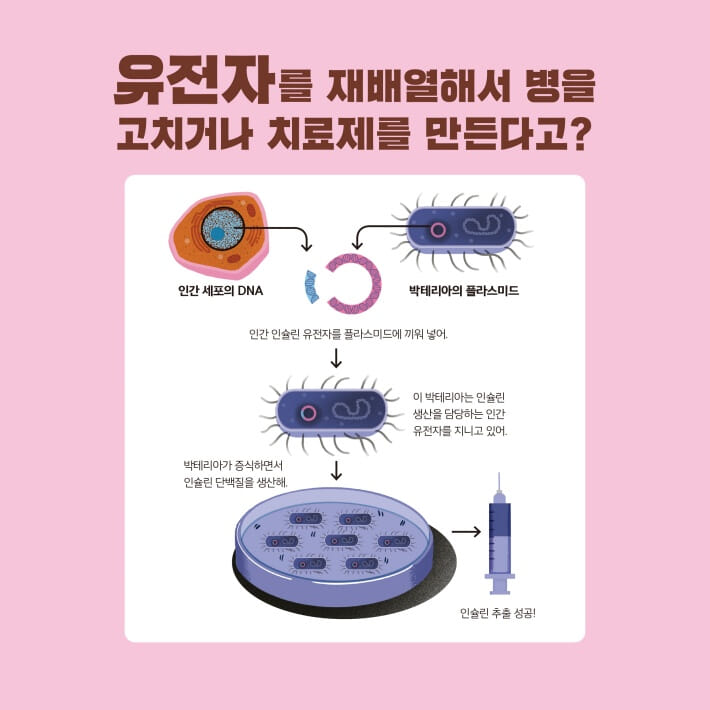 카드뉴스3