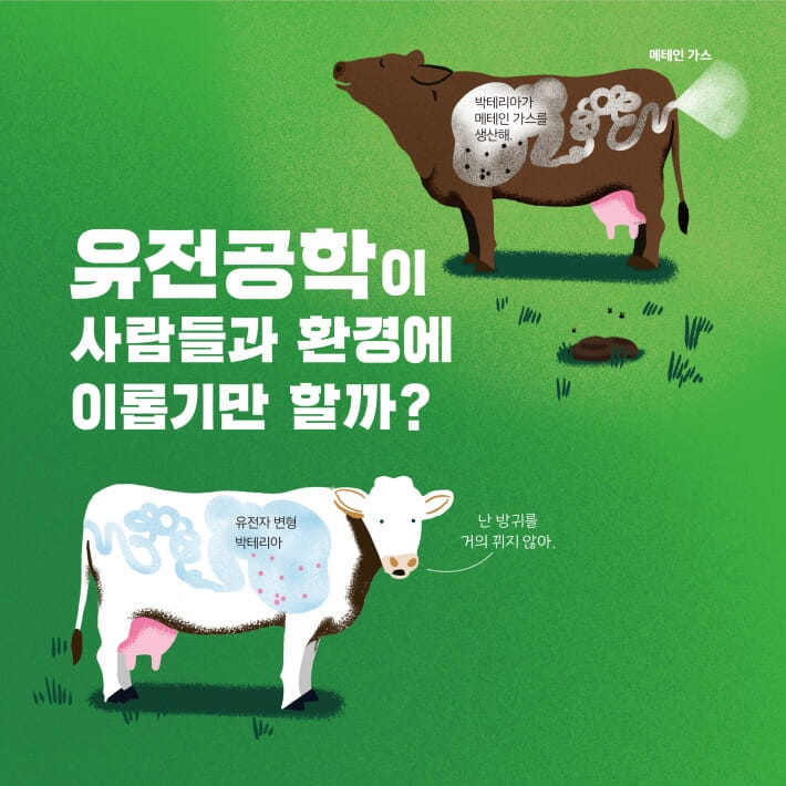 카드뉴스4