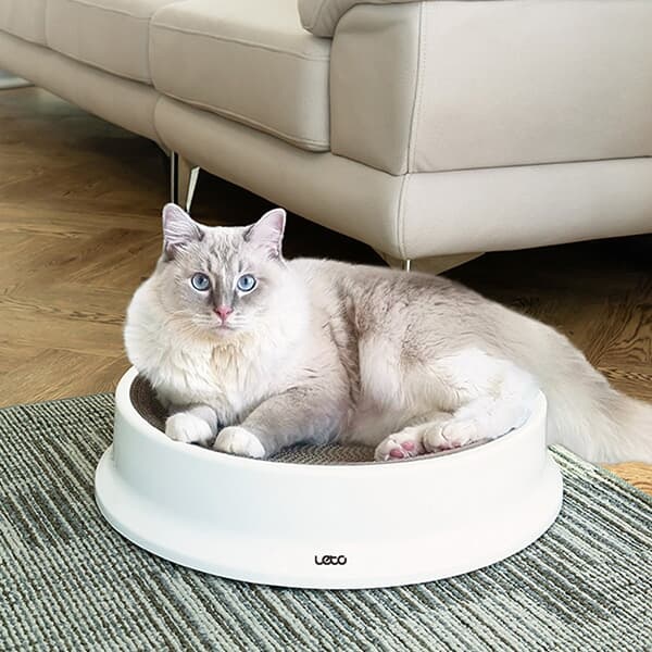 [레토] 고양이 원형 스크래쳐 중대형 43cm LPS-CS01