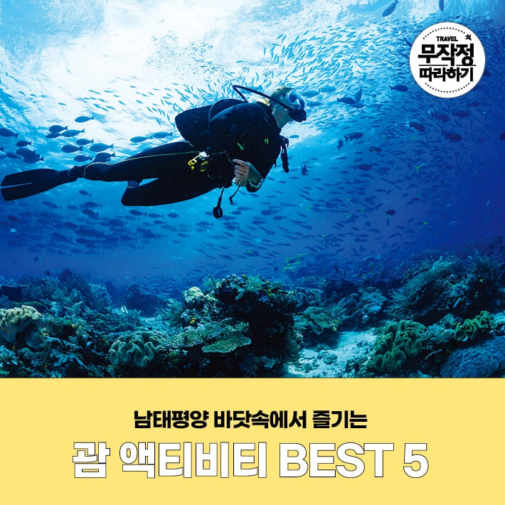 카드뉴스1