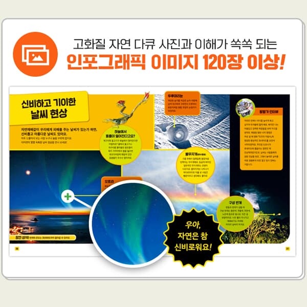 내셔널지오그래픽키즈 자연다큐백과 16권세트/상품권5천
