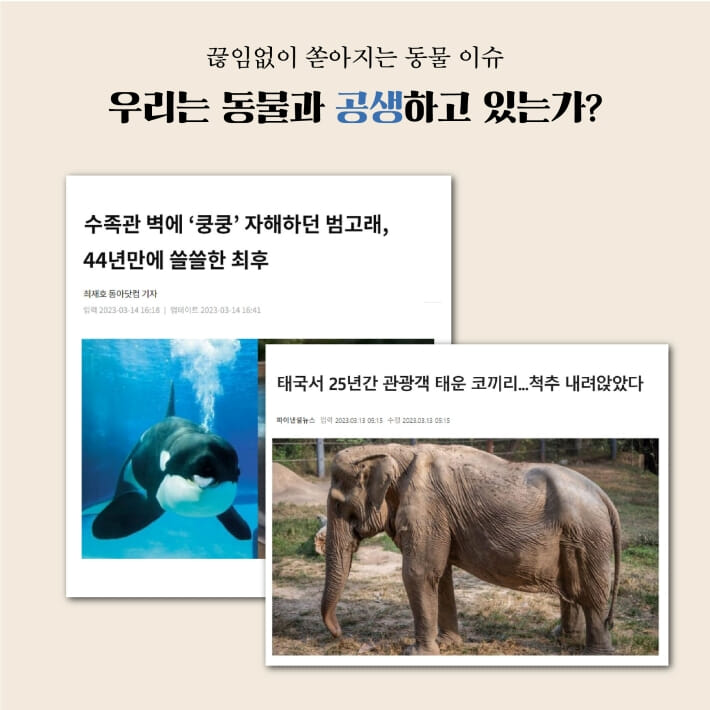 카드뉴스5