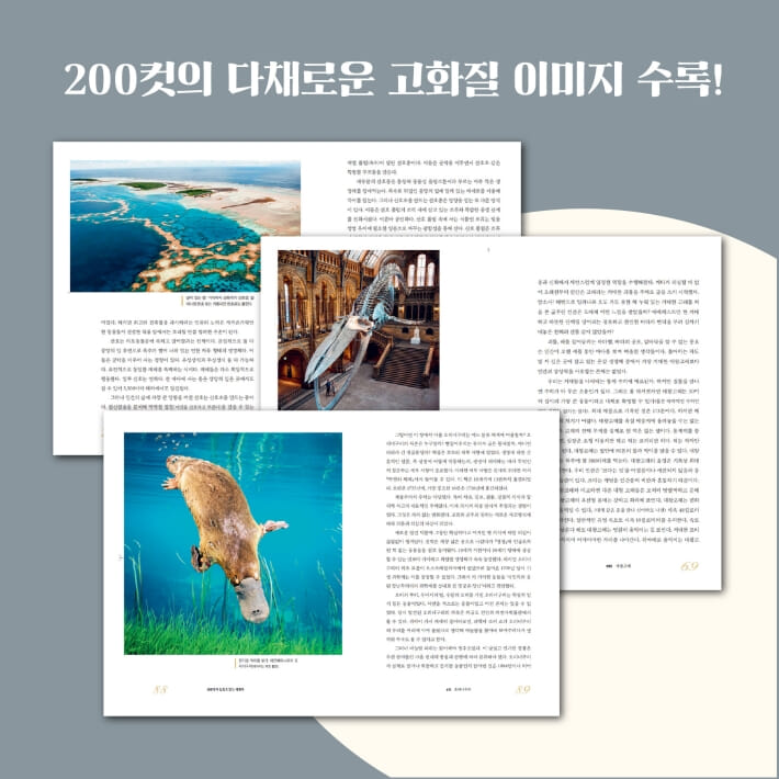 카드뉴스8