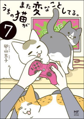 うちの猫がまた變なことしてる。(7) 