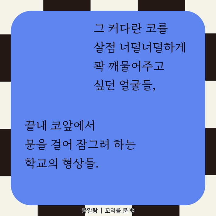 카드뉴스8