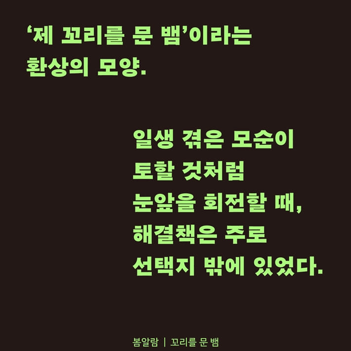 카드뉴스9