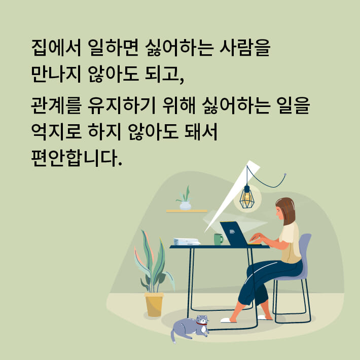 카드뉴스