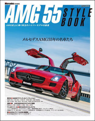 AMG55 スタイル