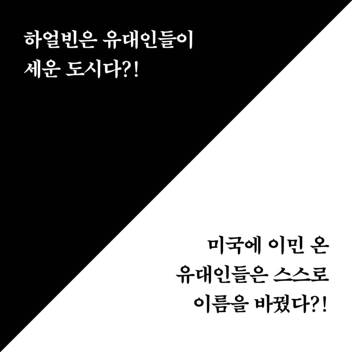 카드뉴스3
