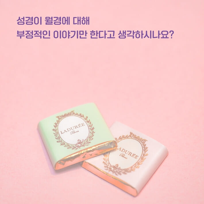 카드뉴스2