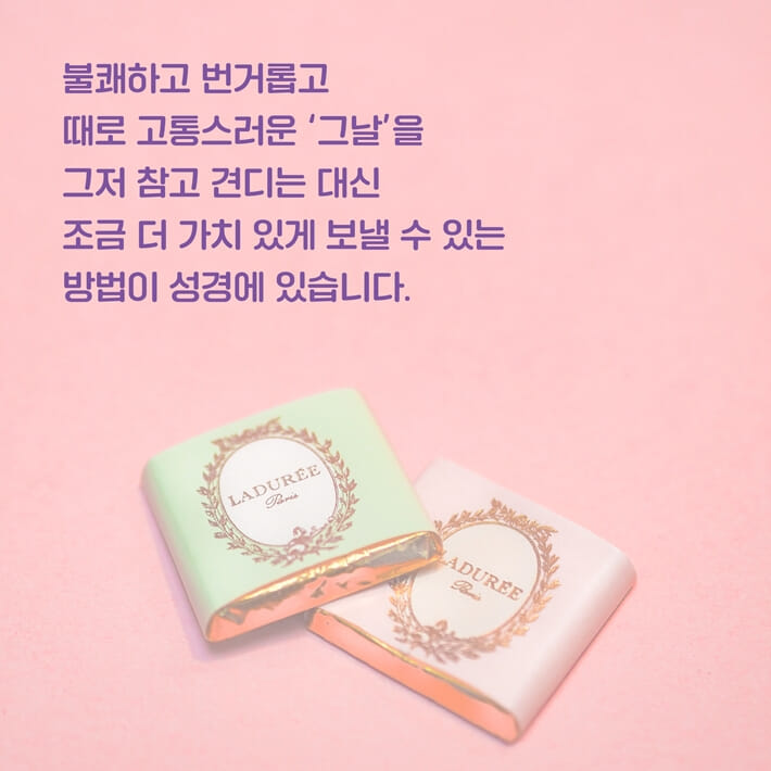 카드뉴스3