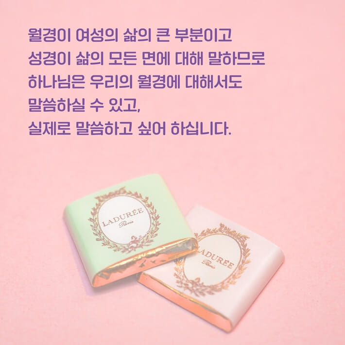 카드뉴스4