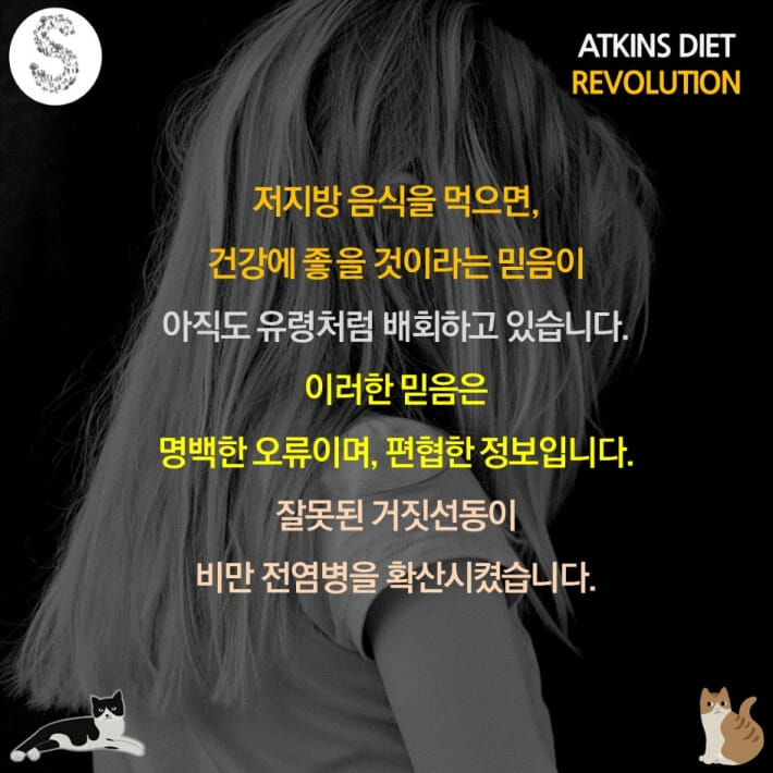 카드뉴스2