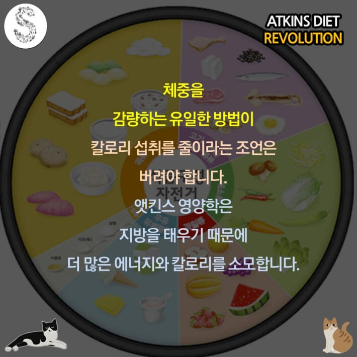 카드뉴스3