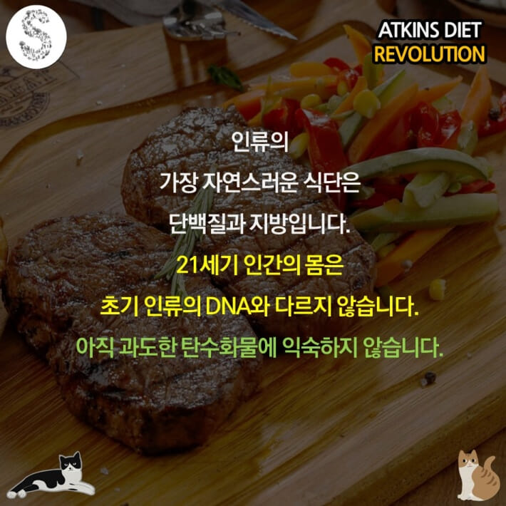 카드뉴스4