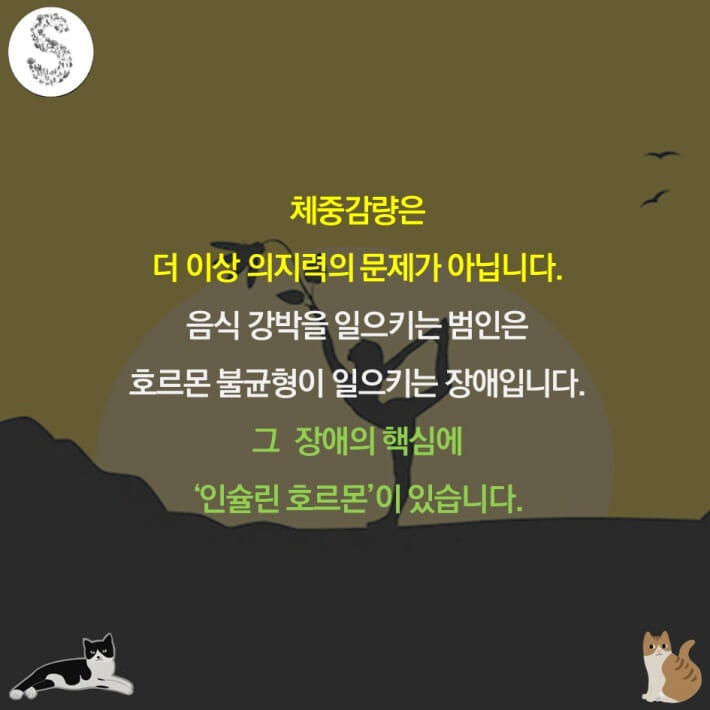 카드뉴스5