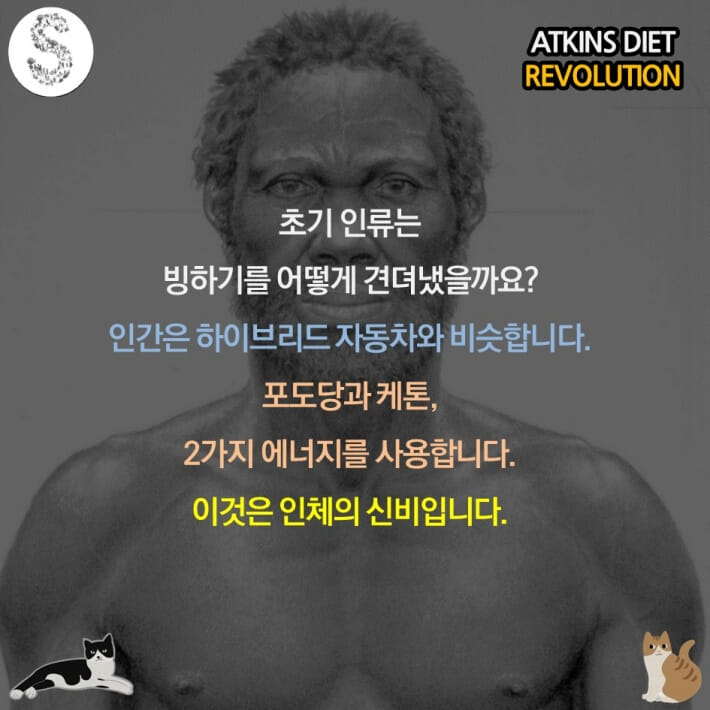 카드뉴스6