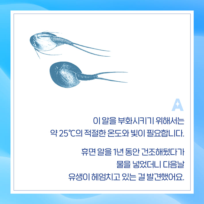 카드뉴스5