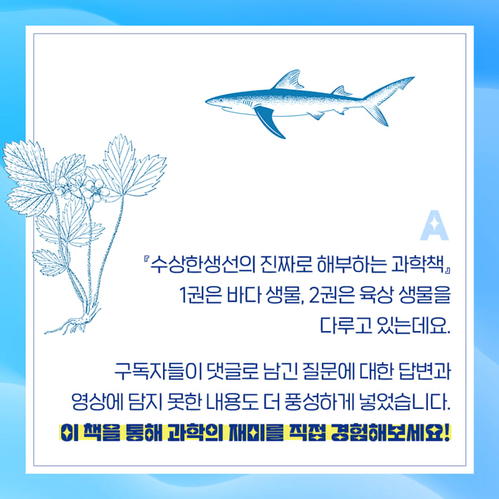 카드뉴스8