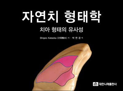 자연치 형태학