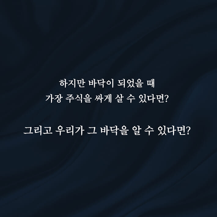 카드뉴스2