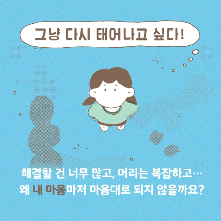 카드뉴스2