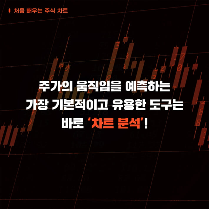 카드뉴스3