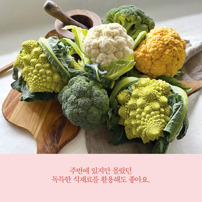 카드뉴스10