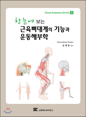 근육뼈대계의 기능과 운동해부학 