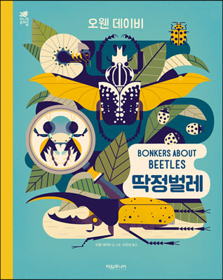 딱정벌레 BONKERS ABOUT BEETLES 