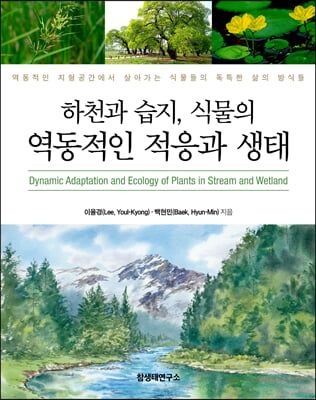 하천과 습지, 식물의 역동적인 적응과 생태